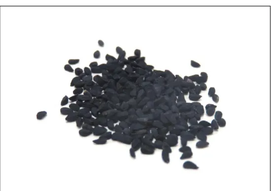 Figure 1-3. Nigella Sativa Seeds