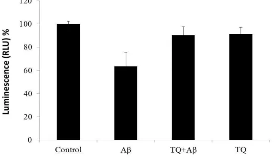 Fig.  2-7  shows  the  effect  of  Aβ 1-42   (5  μM)  with  or  without  TQ  (100  nM)  on  hiPSC-derived  cholinergic  neurons  viability