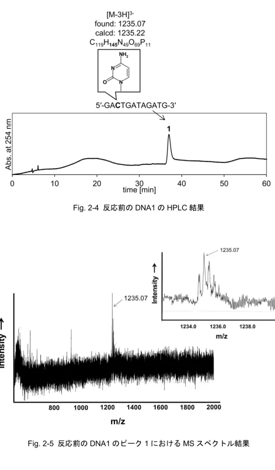 Fig. 2-4  反応前の DNA1 の HPLC 結果