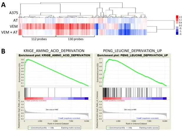 Figure 9. AT9293 は vemurafenib によって誘導されるアミノ酸代謝の恒常性を維持す るための応答を抑制する