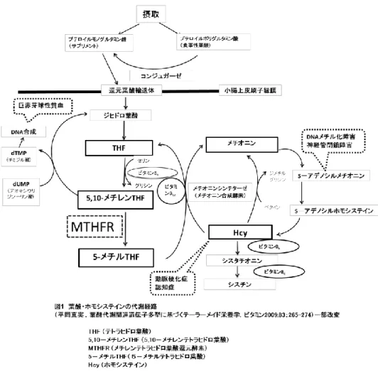 図 表  