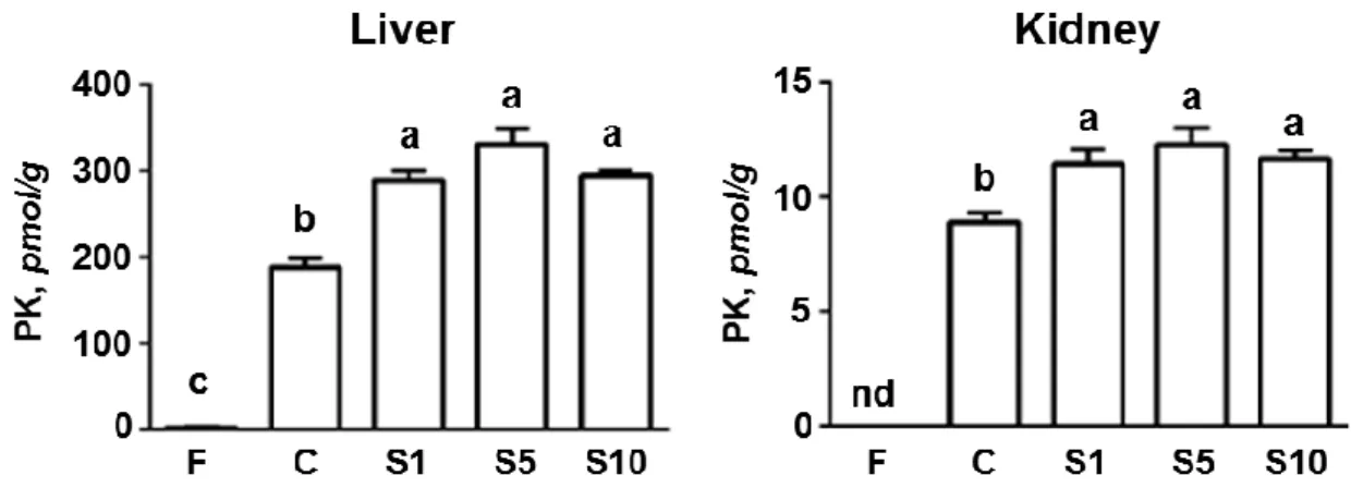 Figure 15  MK-4 concentrations in liver and kidney of rats fed either a vitamin K-and E-free  diet, a control diet, or a diet containing 1, 5, or 10% sesame seed for 3 days (Expt