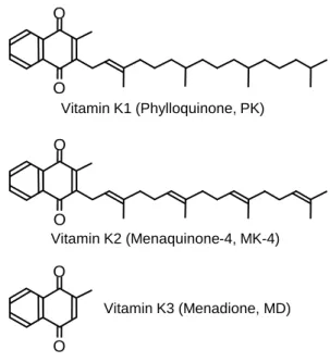 Figure 2 Vitamin K cycle