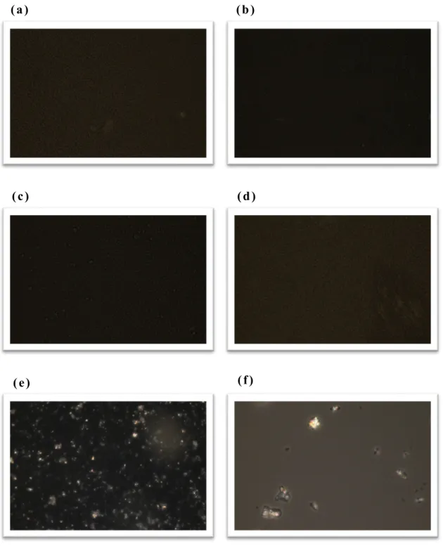 Fig.  2 Confirmation of optical anisotropy by microscopic 