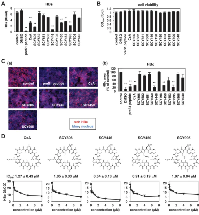 Figure 2. CsA ɛ ĭ § ( ũ HBV ƾ Ř