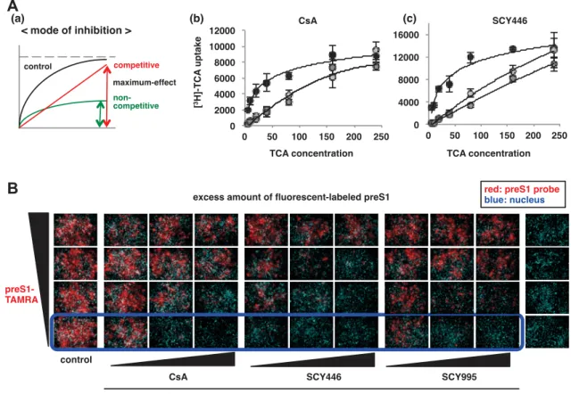 Figure 4. CsA è +  ( ɛ ĭ § $ NTCP ( Ȟ ð ƥ ŀ ( ɐ ƚ ʹ Aaʺ Ȍ ð ʛ Ħ ʹ ɬ Ⱥ ʺ 0  ) ʨ Ȍ ð ʛ Ħ ʹ ȡ Ⱥ ʺ '   : t I F } U  v  ^  m  ] ` > Ȁ   ʹ AbcʺCsA 0  ) SCY446ʹ 0510 µMʺě Ĉ  # Æ Ǡ  : TCA ( Ǒ Ŀ >  Ɔʹ 510 204080160240 µMʺ    $  ( NTCP ` |  U r  Z  ƾ 