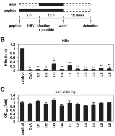 Figure  5.  ũ HBV ƾ Ř > ƍ  : Ǚ Ʈ ǡ ǚ p m \ a ( 1st U L }  c  M ʹ A ʺ HBV ŝ Ɯ Ĥ ʵ ( m  ` O  ~  Ë  i ` Ȭ Ț Ȱ 0  ) HepG2-hNTCP-C4 Ț Ȱ ' p m \ a > 2 ƈ ʘ Ñ Æ Ǡ   ŋ  p m \ a ě Ĉ  # HBV > 16 ƈ ʘ ŝ Ɯ     Ƒ ŝ Ɯ ( HBV è + p m \ a > ƽ ǀ   Ț Ȱ >  