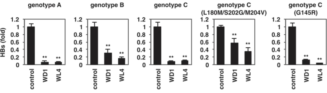 Figure 10.  Ǚ Ʈ ǡ ǚ p m \ a ' 7 : Ļ ȓ &amp; ũ HBV ƾ Ř Ë  i ` Ȭ Ț Ȱ ' Ǚ Ʈ ǡ ǚ p m \ a 30  µM > Æ Ǡ   Fig