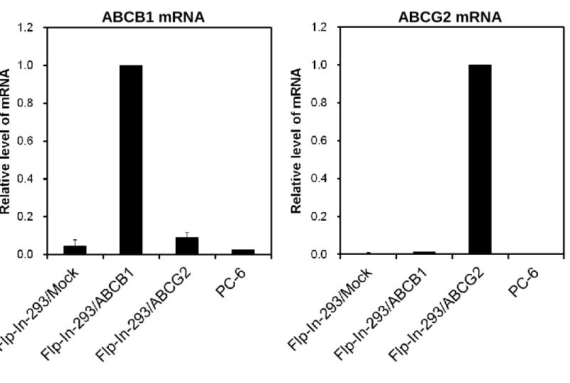 図 9 ABCB1 及び ABCG2 遺伝子の Real-Time PCR 解析