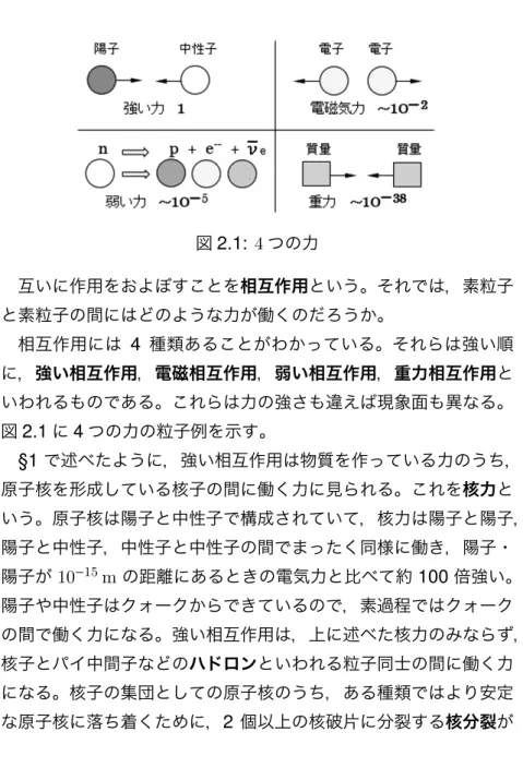 図 2.1: 4 つの力 互いに作用をおよぼすことを相互作用という。それでは，素粒子 と素粒子の間にはどのような力が働くのだろうか。 相互作用には 4 種類あることがわかっている。それらは強い順 に，強い相互作用，電磁相互作用，弱い相互作用，重力相互作用と いわれるものである。これらは力の強さも違えば現象面も異なる。 図 2.1 に 4 つの力の粒子例を示す。 §1 で述べたように，強い相互作用は物質を作っている力のうち， 原子核を形成している核子の間に働く力に見られる。これを核力と いう。原子核は陽子と中