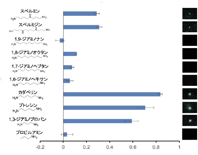 図 3  様々なポリアミン化合物に対する線虫誘引試験の結果 