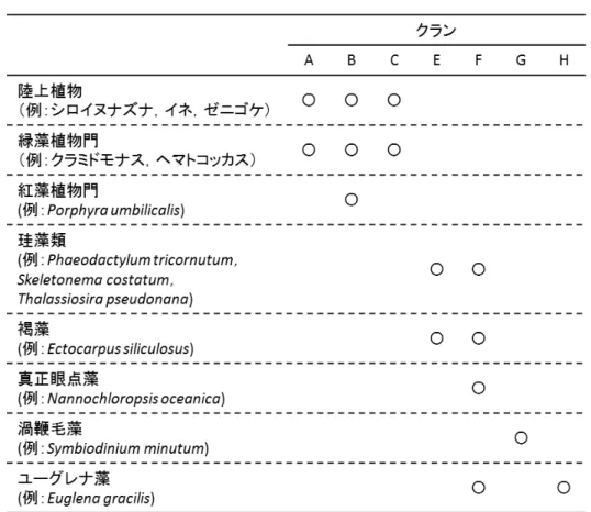 表 1.  CYP97 の系統分類 