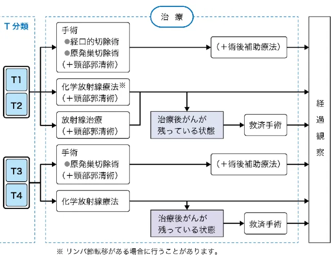図 2 は、中咽頭がんに対する根治を目指す治療方法を示したものです。担当医 と治療方針について話し合うときの参考にしてください。 