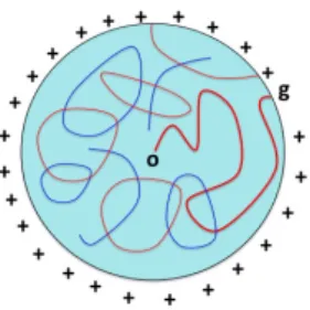 図 3 ⟨σ o ⟩ + β c ,r に対するランダムカレント表現 最後に，ランダムカレント表現において重要な等式を紹介しておく．これは，全体のグラフを部分グラフへと 分ける場合の数，という組み合わせ論的な等式として，証明される． Proposition 2.2 ( 源泉の移し替え補題の帰結 [3])