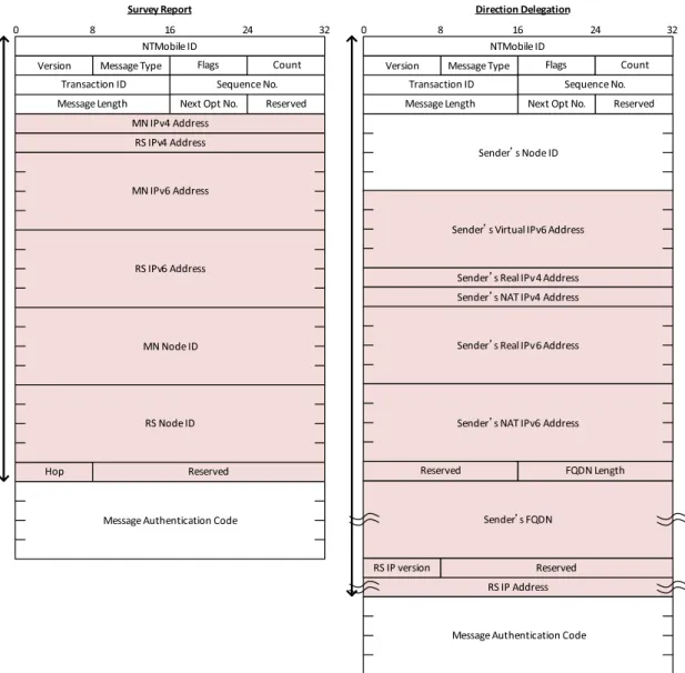 図 A.3 NTM 端末と RS のホップ数調査における提案のメッセージフォーマット 2