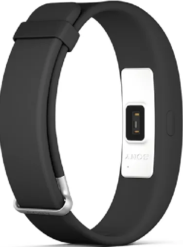 図 1 SmartBand2