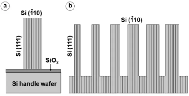 Fig. 19    Schematic representation of (a) linewidth refer- refer-ence material developed by NIST and SNL, and (b)  SCCDRM