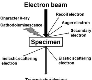 Fig. 2  Schematic representation of electrons and electromag- electromag-netic waves emitted from a specimen by accelerated  electron beam irradiation