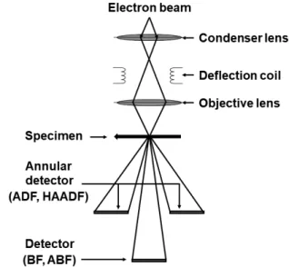 Figure 10 K. Kobayashi Fig. 9  Schematic representation of position of ﬁlm plane and 