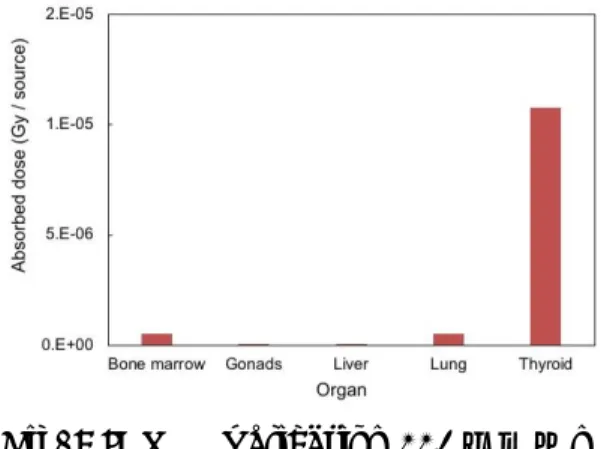 Fig. 8 ICRP Publication 110 人体ファ ントムの甲状腺に 100  MBq の 131-I を分布させた時の各臓器の吸収線量． Fig. 8 に各臓器の 131-I による吸収線 量を示す．甲状腺が高い値を示し，肺 や骨髄にもわずかに吸収線量が認め られる．核医学治療における放射性核 種の吸収線量の評価では，放射性核種 が人体に取り込まれてから完全に体 内から消失するまでの吸収線量の積 分が必要となるが，提示したデータは， 特定の時間における吸収線量である ことにご注意頂きたい． 