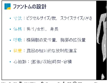 図 3  デジタルファントムの作成過程 