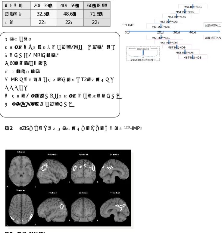 図 2  eZIS ニューロ搭載健常者画像データベース構成（ 123I -IMP ）