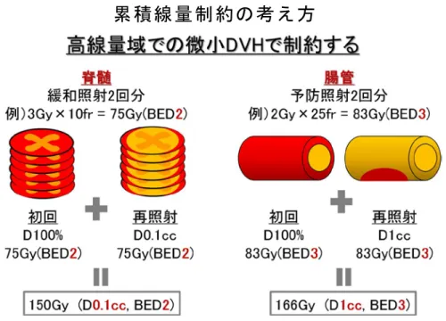 Fig. 3 ． 根 治 的 再 照 射 を DICOM-RT に て 累 積 線 量 （ BEDn ） を 評 価 す る 場 合 ， OAR の 線 量 制 約 は   D 微 小 体 積 150 ～ 170Gy 未 満 と す る ．