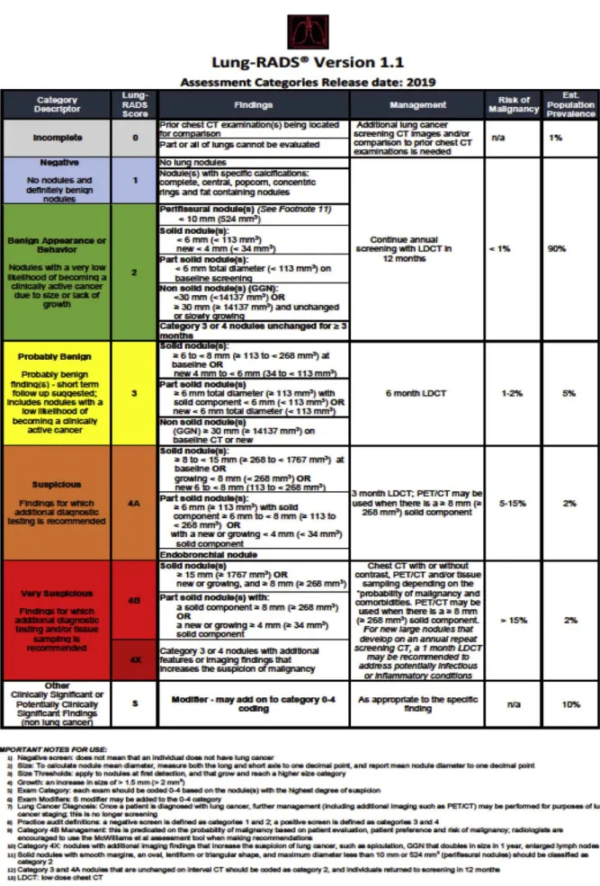 Figure 1  Flieschner Guidelines と Lung-RADS システムに関する説明 