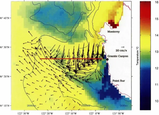 Fig.  1:  Surface  currents f r o m   detided  radial  data  obtained  with  a  single  SeaSonde  located  at  Granite  Canyon,  CA,  and  satellite AVHRR  image  of SST f o r   1700  PST  15  July  1993