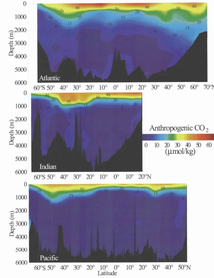 Figure 8. Zonal mean distributions  of estimated anthropogenic C02 concentrations (in units  of Mmol kg -1) along north-south  transects in the Atlantic, Indian and Pacific oceans