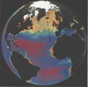 Figure  1.  Composite  of  April-June  period  for  1979-1986 from  the  NIMBUS-7  Coastal  Zone  Color  Scanner  data  showing phytoplankton  pigment  in  the  surface ocean