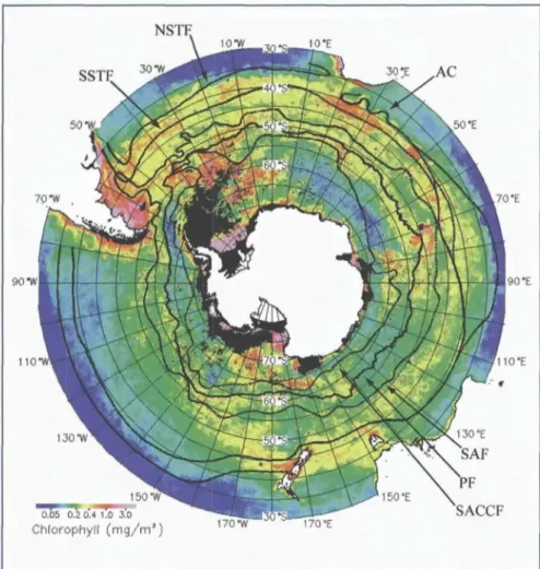 Figure  7. Mean  SeaWiFS  chlorophyll concentration for  the Southern  Ocean  from  December 1997  through  February 1998 (austral  summer)
