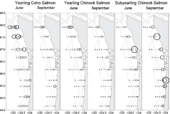 figure 5. Patterns of colony stability for the  Common Murre along the northern Washington  coast (data are from the region between the black  arrows), plotted on a satellite-derived image of sea  surface temperature for July 4, 2007