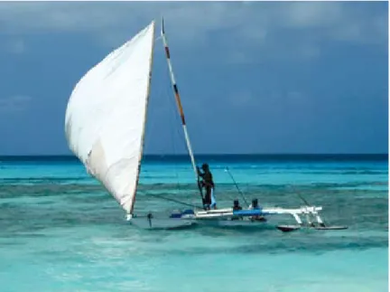 figure 3. a traditional marshallese outrigger sailing canoe.
