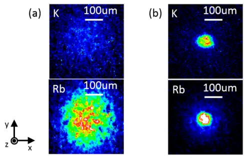 Figure 4.2: Absorption image of (a) the thermal clouds of 6.4 × 10 4 K and 1.8 × 10 5 Rb and (b) the dual BEC of 3.4 × 10 4 K and 4.6 × 10 4 Rb produced in 1 µm ODT.