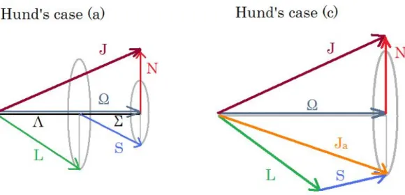 図 2.2 Hund’s case    Hund’s case(a) では, L と S の分子軸方向の射影 Λ と Σ が保存さ れ, よい量子数となっている。一方 Hund’s case(c) では Λ と Σ が保存されず, J a = L + S の射 影が保存される。いずれの場合も, 全角運動量 J は J = Ω + N となっている。