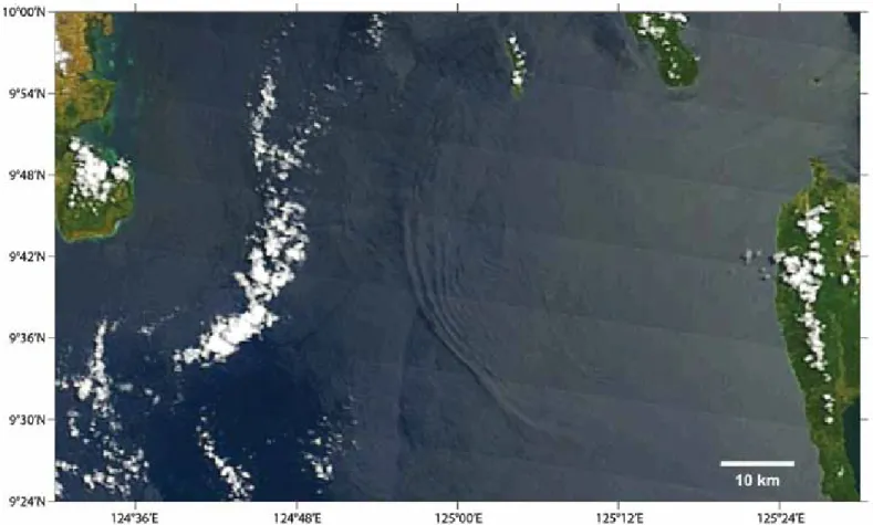 Figure 3. a 250-m-resolution moDiS true color optical image of an internal wave packet propagating from Surigao Strait acquired on June 9, 2005, at 02:15 utc