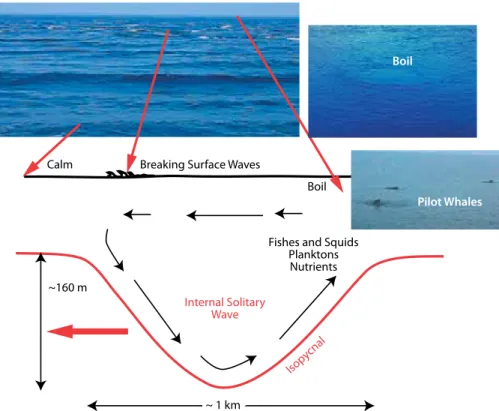 figure 8. Snapshots of varying sea-surface conditions associated with internal waves coupled to a sche- sche-matic diagram showing the associated spatial scale