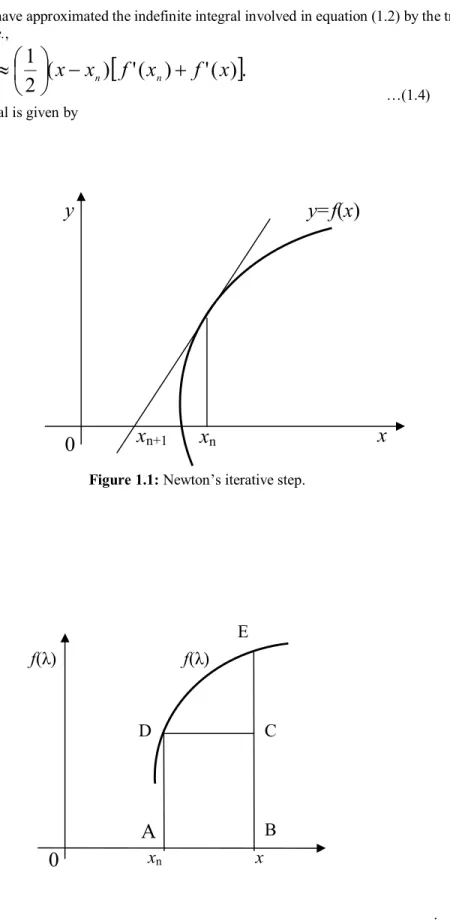Figure 1.1: Newton’s iterative step. 