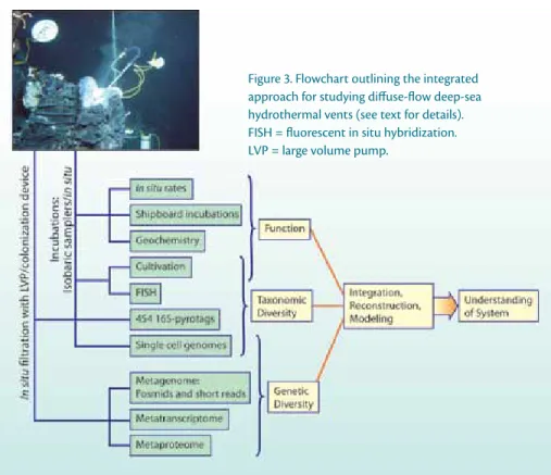 Figure 3. Flowchart outlining the integrated  approach for studying diffuse-flow deep-sea  hydrothermal vents (see text for details)
