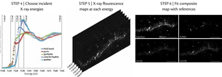 table 1. iron speciation in plume particles collected by   sediment traps at the east pacific rise