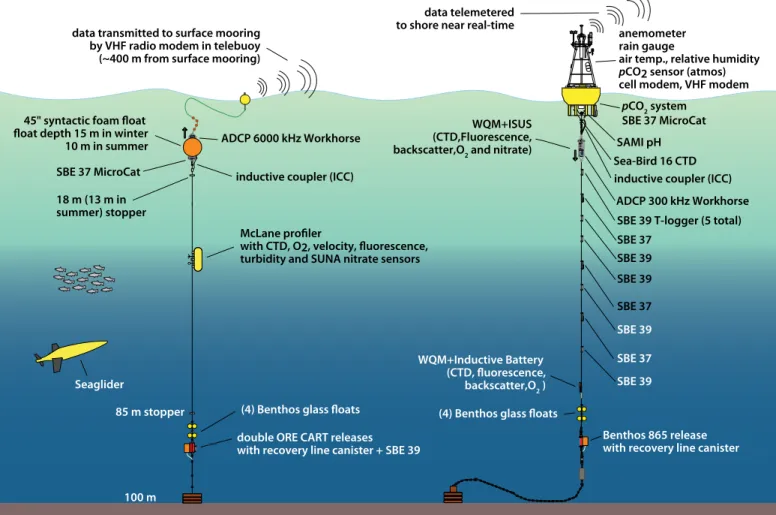 figure 2. Schematic of the NeMO system showing the surface mooring (right), the subsurface profiling mooring (left), and the glider.