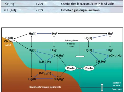 Table 1. Summary of Hg species in the ocean. 