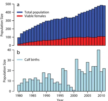 Figure 1. Time series of  North Atlantic right whale  population size from 1980  to 2010
