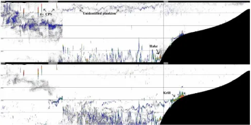 FIGURE 3. Composite (38 kHz [top] and 120 kHz [bottom]) echogram showing schools of coastal  pelagic fish species (CPS), hake (Pacific whiting), krill (euphausiid species), and unidentified  plank-ton