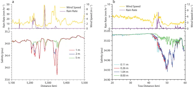 FIGURE 6. Observations of rain-induced salinity stratification in the upper few meters of the ocean at large and small scales as reported by Asher et al