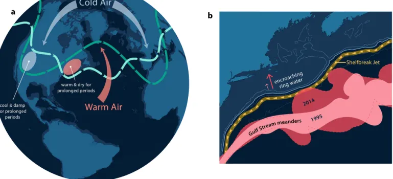 FIGURE 1. (a) A schematic of atmospheric factors relating to warming of the continental shelf in the northeastern United States