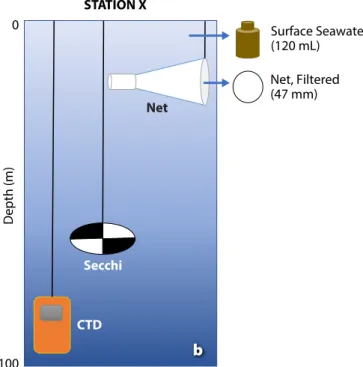 FIGURE 4. Sampling methods. (a) Citizen scientists assist staff with a  phytoplankton net tow
