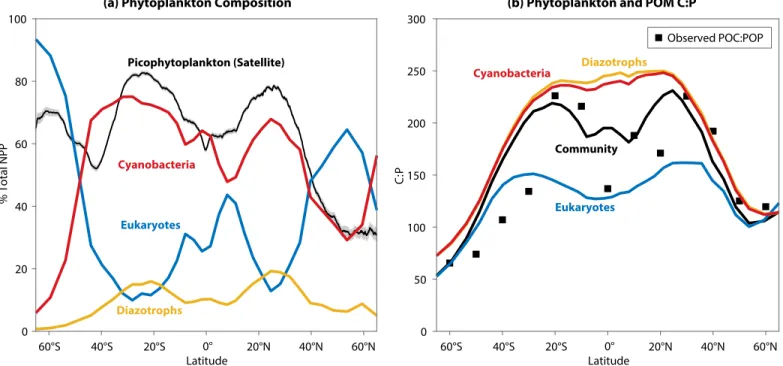 FIGURE 2. Annual mean properties in the control model for the top 100 m of the water column