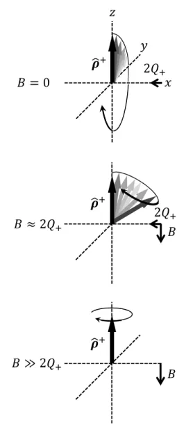 FIG. 2. Time dependence of singlet components ( ρ SS+ (t) )